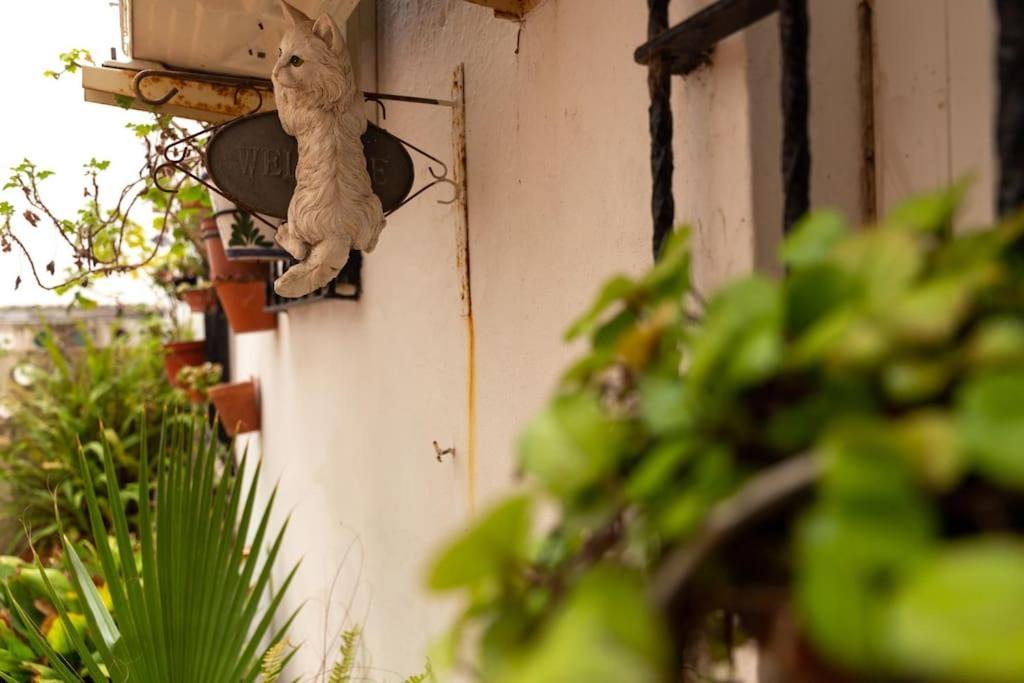El Patio De La Vina By Gades Gestion Apartamento