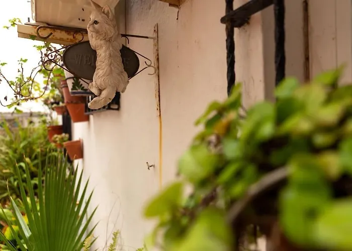 El Patio De La Vina By Gades Gestion