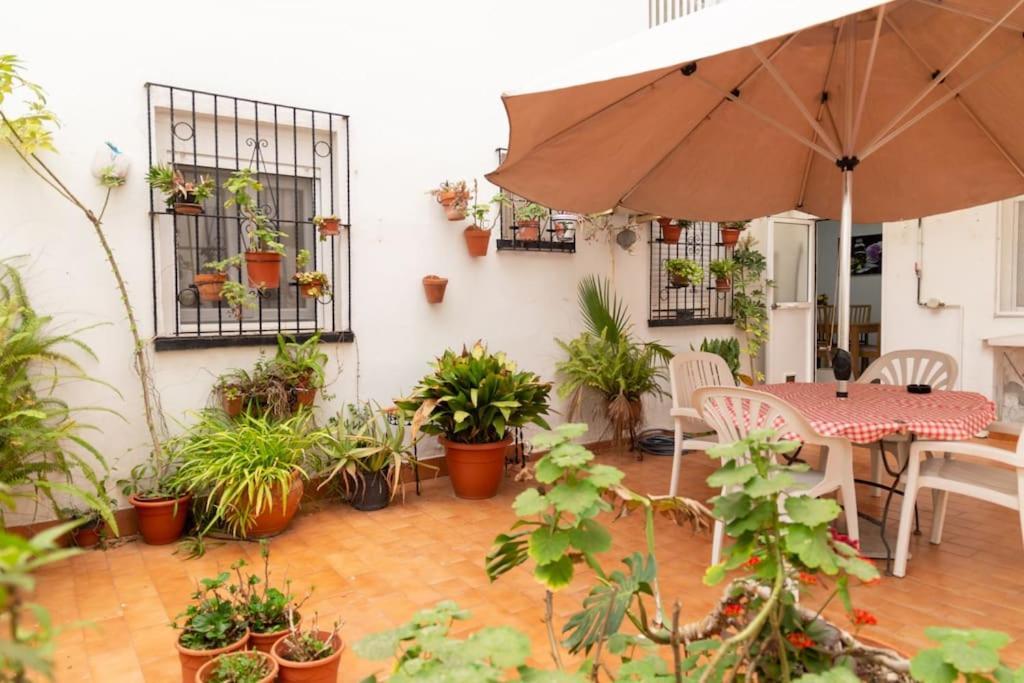 Apartment El Patio De La Vina By Gades Gestion Cadiz